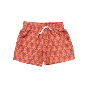 Baby Boys Swim Trunk - Orange Lobsters