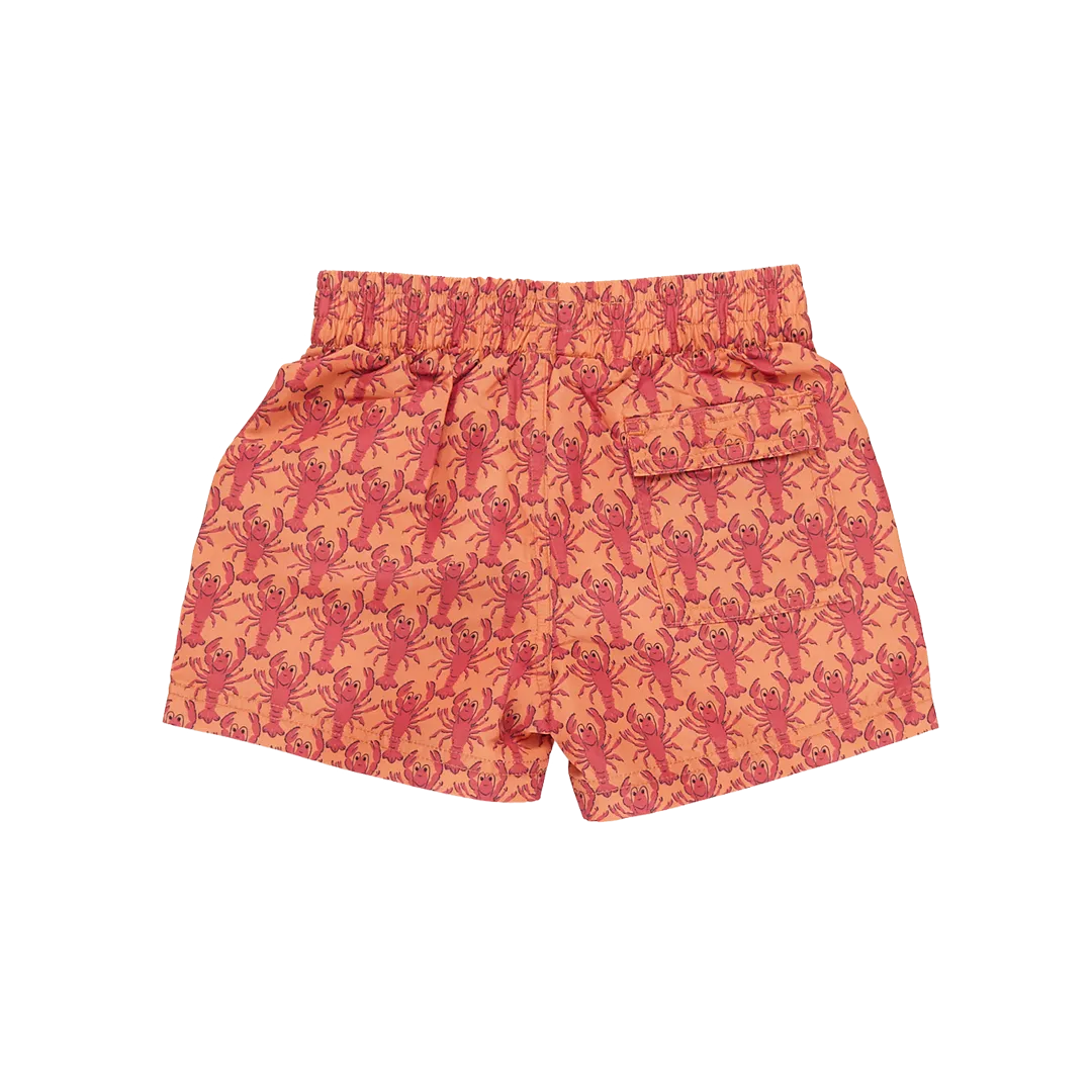 Baby Boys Swim Trunk - Orange Lobsters