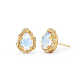 Micro Queen Water Drop Moonstone Studs with Sprinkled Diamonds