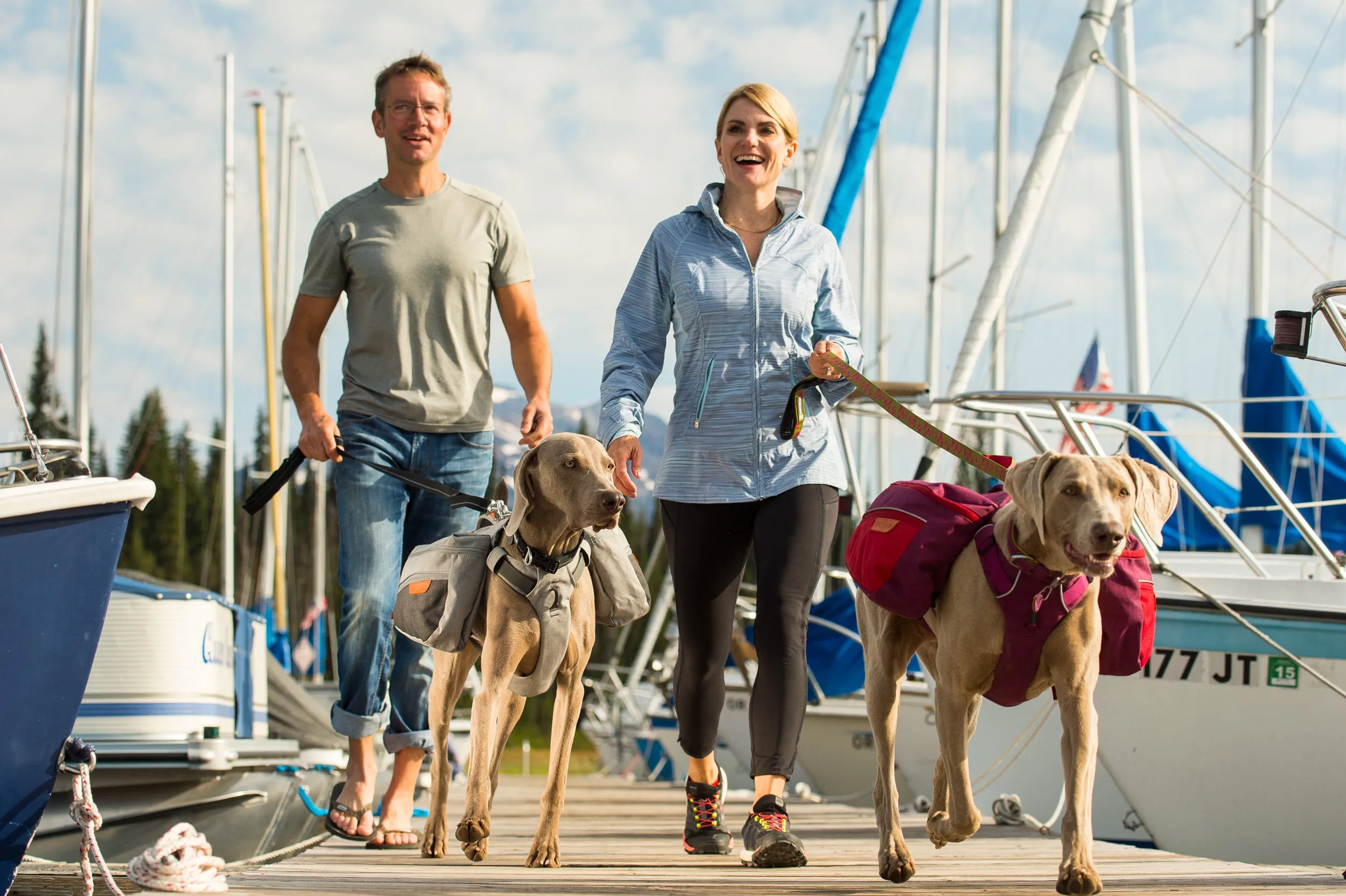 Ruffwear Dog Pack: Commuter Pack in Cloudburst Grey