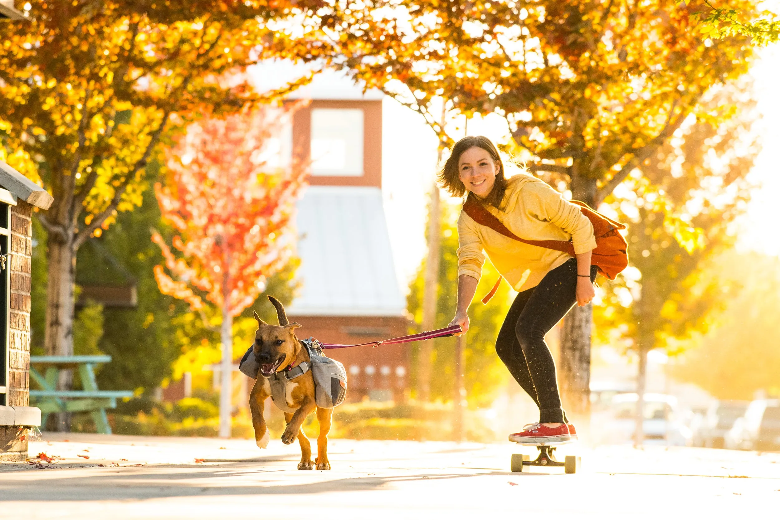 Ruffwear Dog Pack: Commuter Pack in Cloudburst Grey