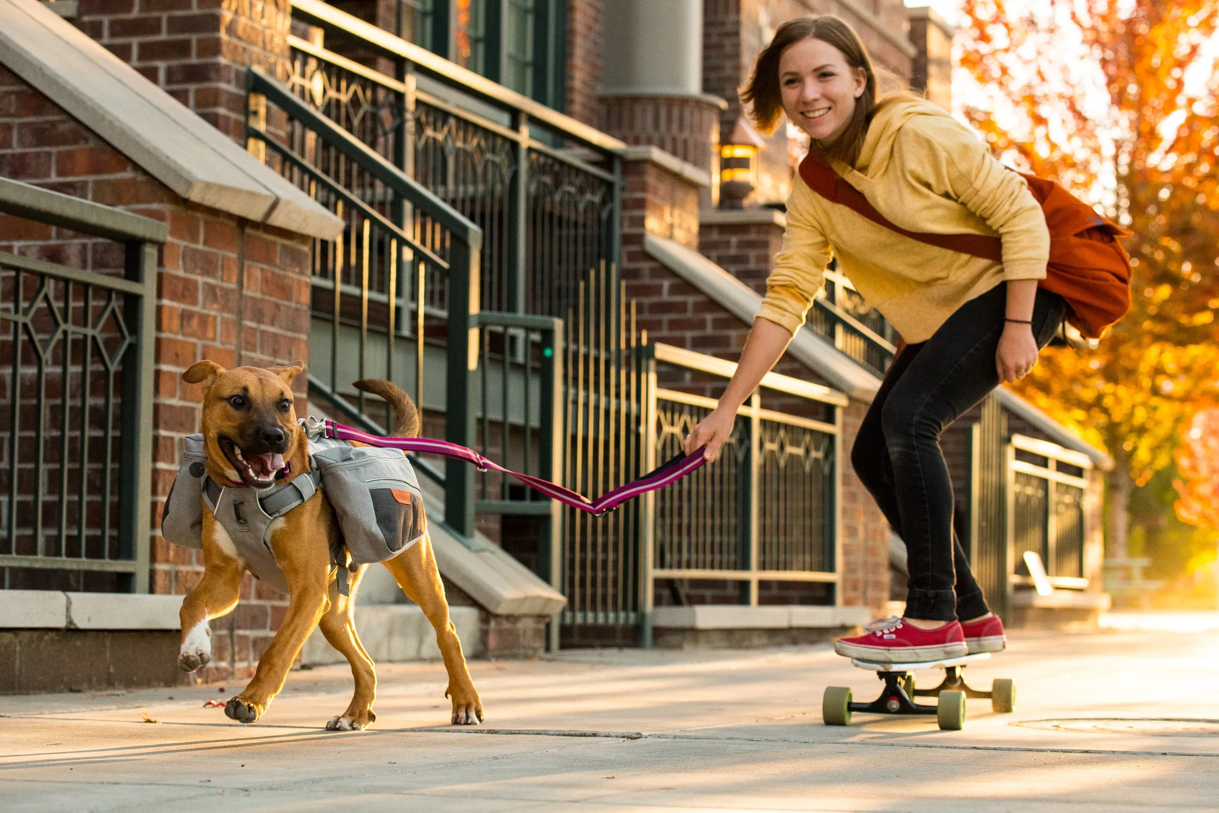 Ruffwear Dog Pack: Commuter Pack in Cloudburst Grey