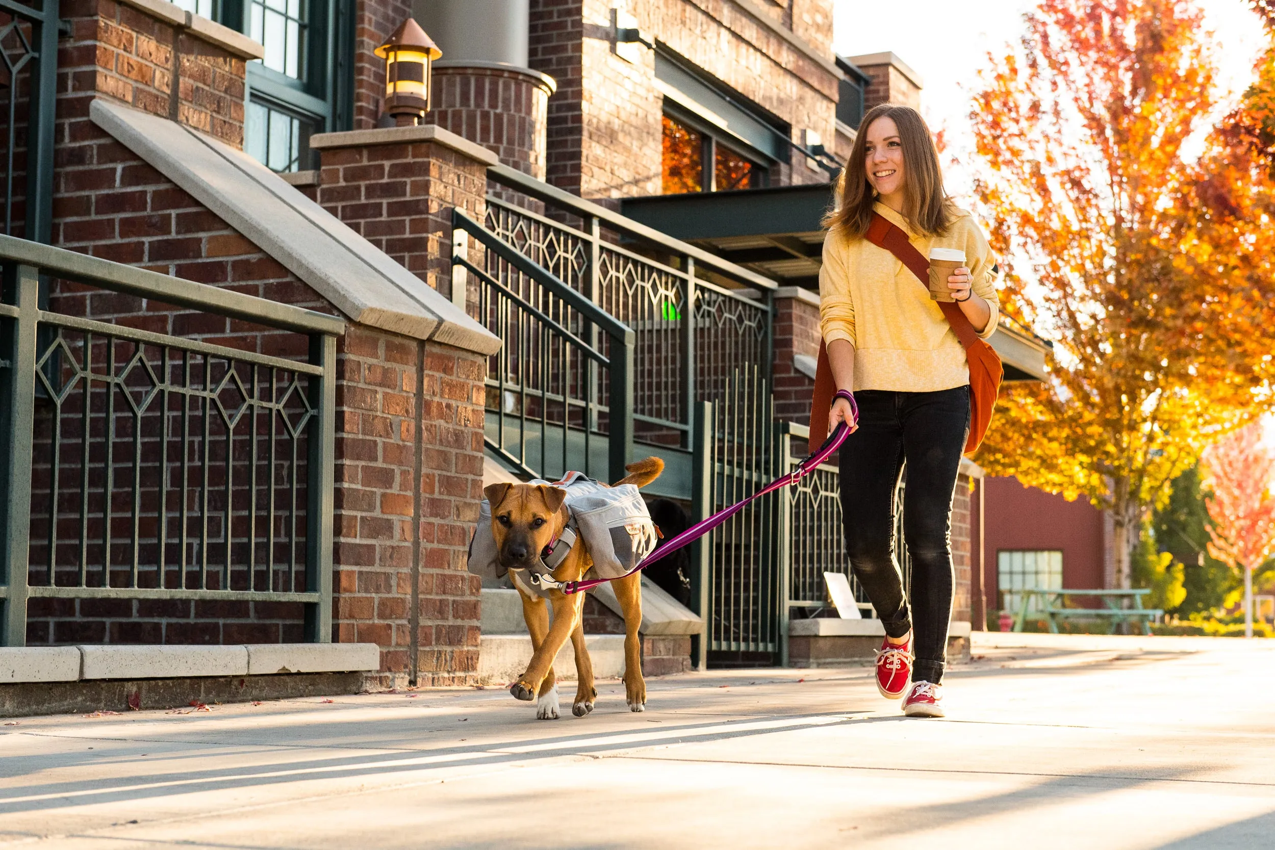 Ruffwear Dog Pack: Commuter Pack in Cloudburst Grey