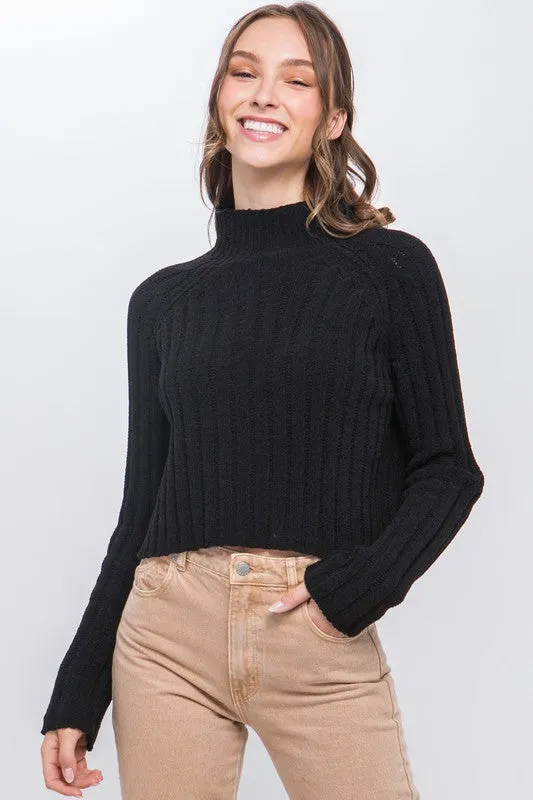 Thalia High Neck Vertical Knit Pull Over Sweater